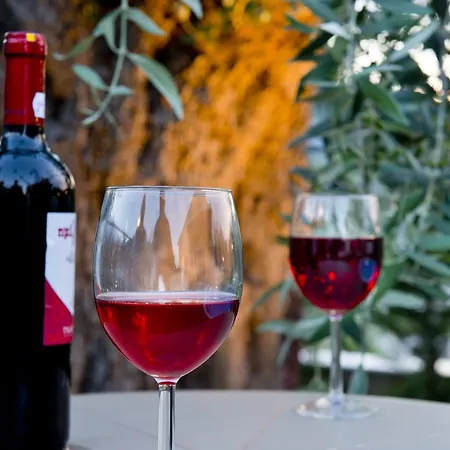 アパートホテル Votsalo 4*