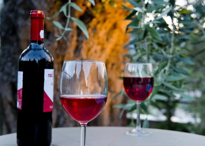 Hotel de apartamente Votsalo 4*